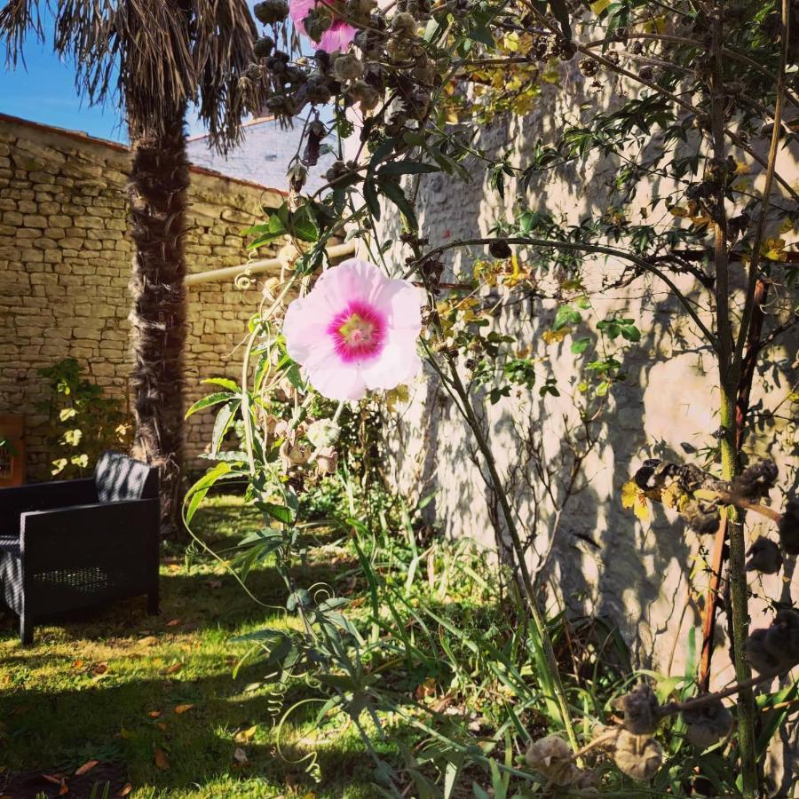 Au Clos Des Figues Hotell Chambon  Exteriör bild