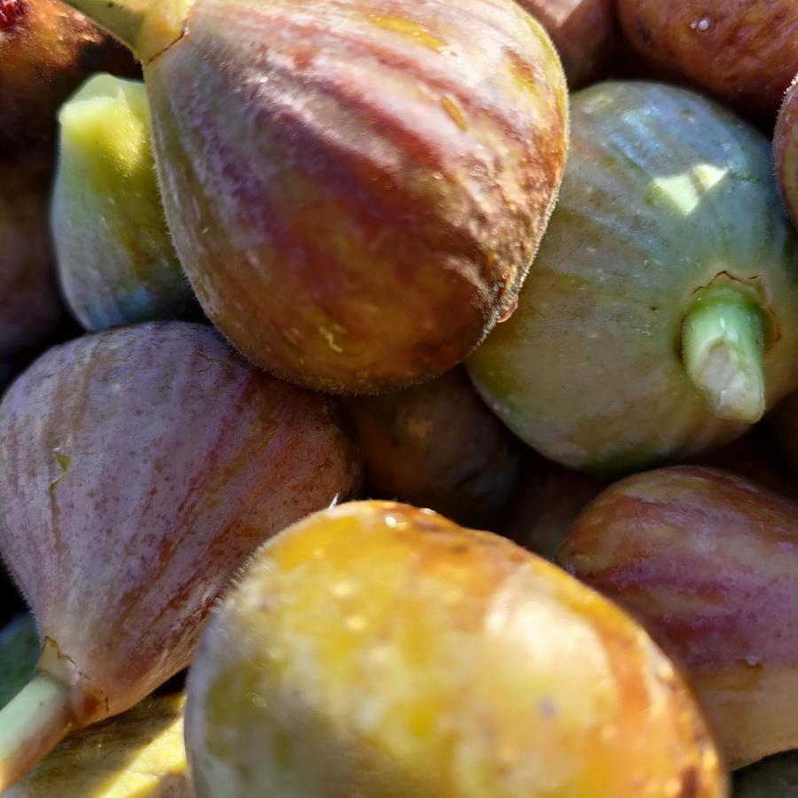 Au Clos Des Figues Hotell Chambon  Exteriör bild